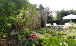 Neugestaltungen von Gärten aller Art